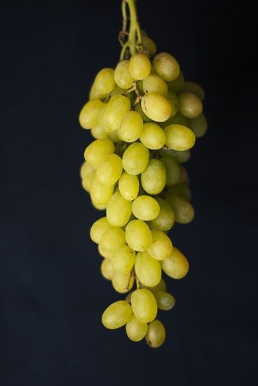 grapes-large